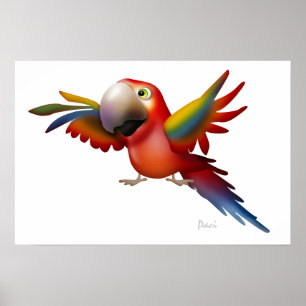 Poster Macaw - SRF
