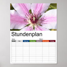 Macro da Clematis branca e roxa