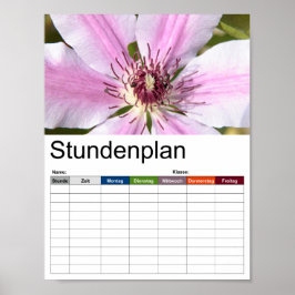 Poster Macro da Clematis branca e roxa