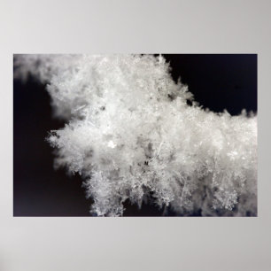 Poster macro do floco de neve