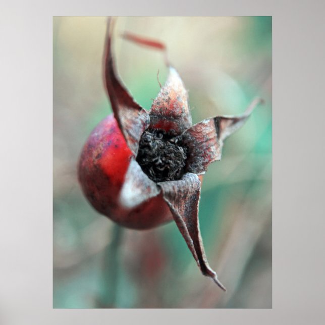 Poster Macro Hip do Rosa Elegante Moderno (Frente)