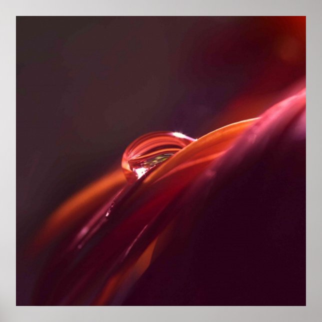 Poster Macro Red Petal (Frente)