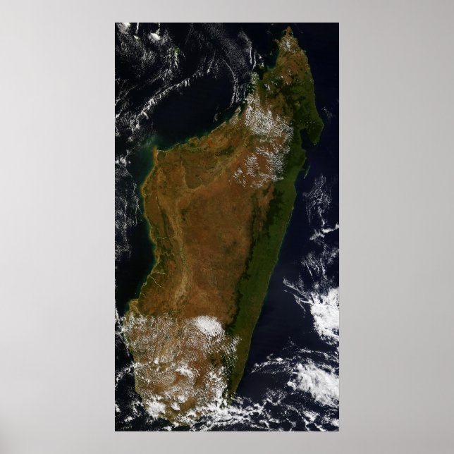 Pôster Madagáscar (Frente)