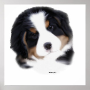 Pôster MadDog's Baby Face Print