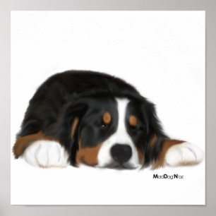 Pôster MadDog's Sneak a Peek Print