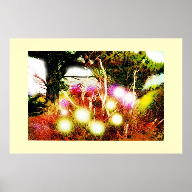 Poster Madeira assombrada (Frente)