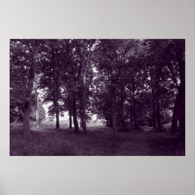 Pôster Madeira, Bute Park Cardiff - Roxo tonado BW (Frente)