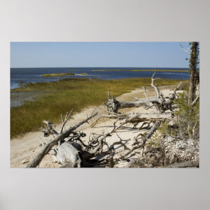 Pôster Madeira derivada na praia