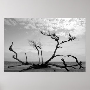 Poster Madeira inoperante