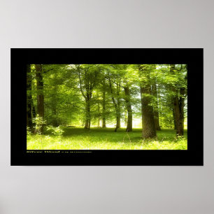 Pôster Madeira prateada