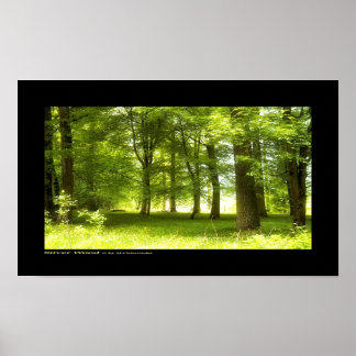 Pôster Madeira prateada