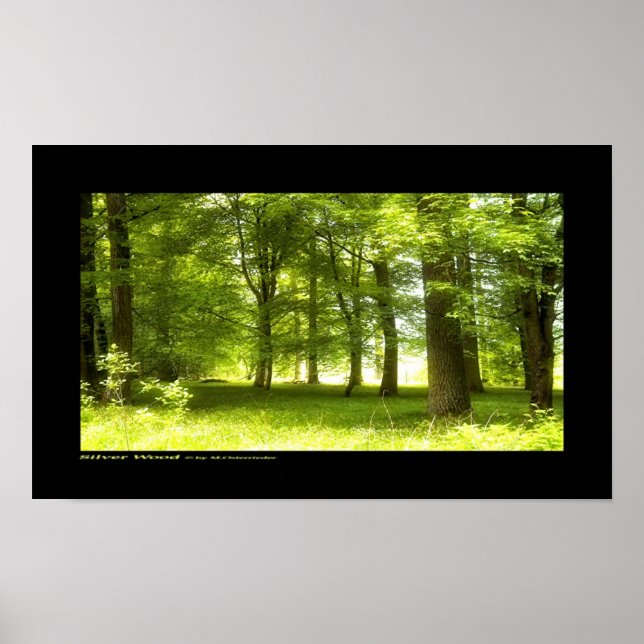 Pôster Madeira prateada (Frente)