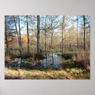 Pôster Madeiras do outono