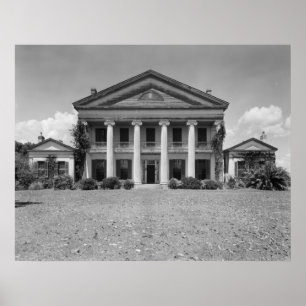 Pôster Madewood Plantation