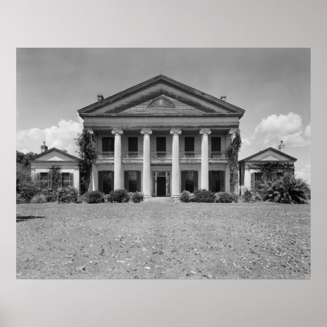 Pôster Madewood Plantation (Frente)