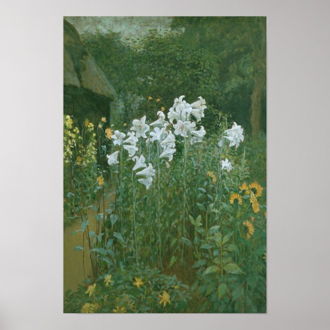 Poster Madonna Lily em um Jardim (Frente)