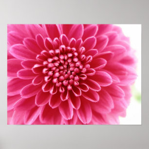 Poster Mãe cor-de-rosa