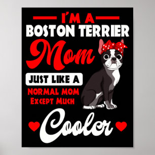 Poster mãe do Boston terrier cavalheiro americano do cão