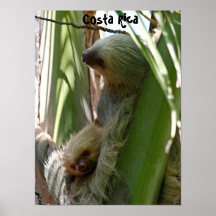 Pôster Mãe e bebê
