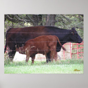 Pôster Mãe e criança