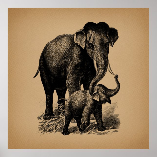 Poster Mãe e Elefante Bebê Arte Vintage (Frente)
