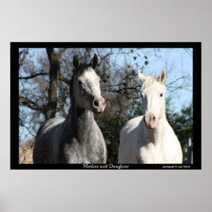 Pôster Mãe e Filha