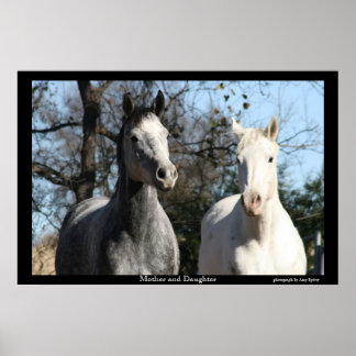 Pôster Mãe e Filha