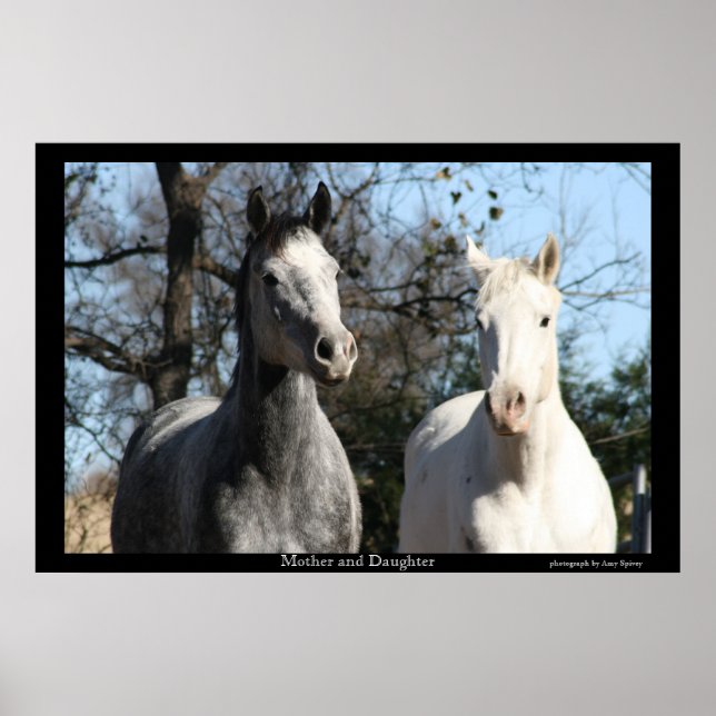 Pôster Mãe e Filha (Frente)