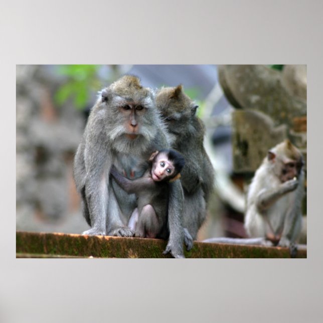 Poster Mãe e Filho (Frente)