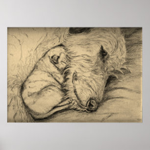 Poster Mãe e filhote de cachorro do Wolfhound irlandês