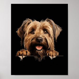 Poster Mãe e Pai de Cachorro Briard Espiando Filhote