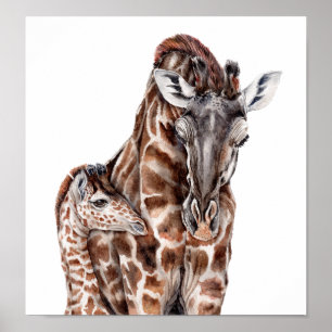 Pôster Mãe Girafa com Baby Giraffe