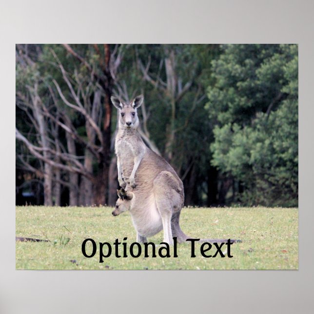 Poster Mãe Kangaroo com Bebê Joey em sua bolsa (Frente)