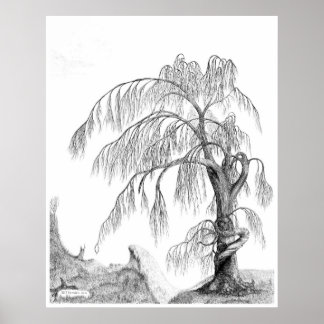 Pôster "Mãe Natureza", por Jeff Camden