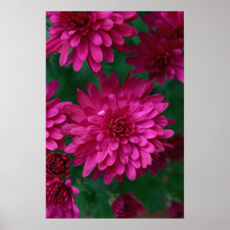 Pôster Mãe quente!