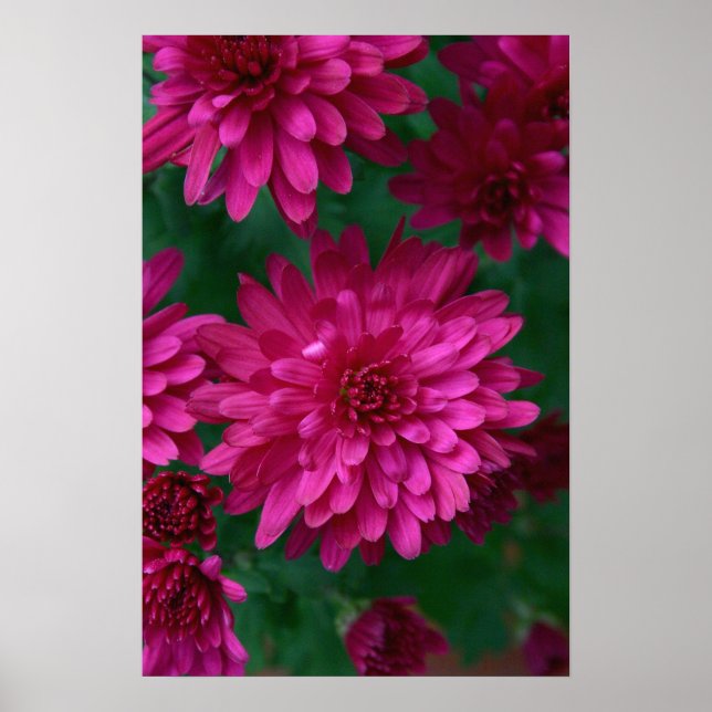 Pôster Mãe quente! (Frente)