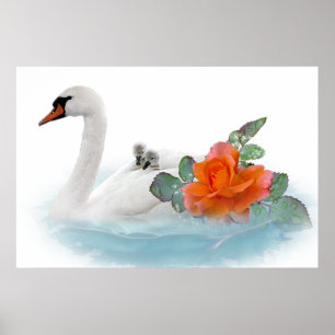 Poster Mãe Swan, bebês e Rosas