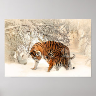 Poster 3D Tigre Andando Sobre a Neve 50x70cm com/sem Moldura