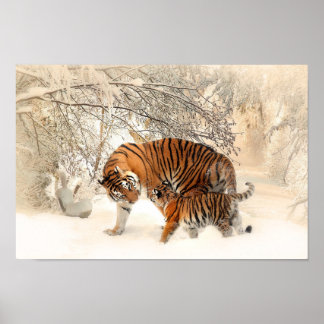 Poster Mãe-Tigre e Bonita com Bebê na Neve
