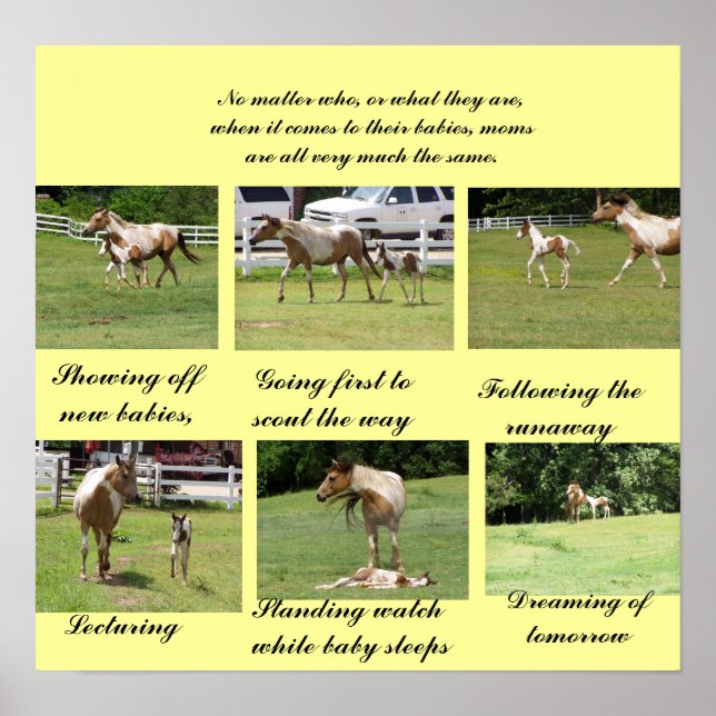 Poster Mães e bebês (Frente)