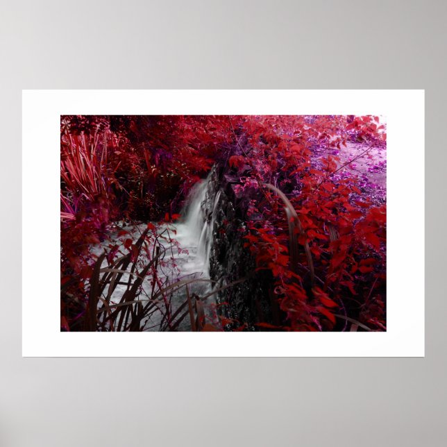 Pôster Magenta (Frente)