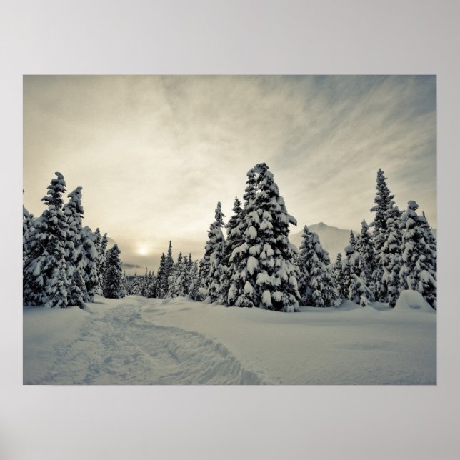 Pôster Magia de inverno (Frente)