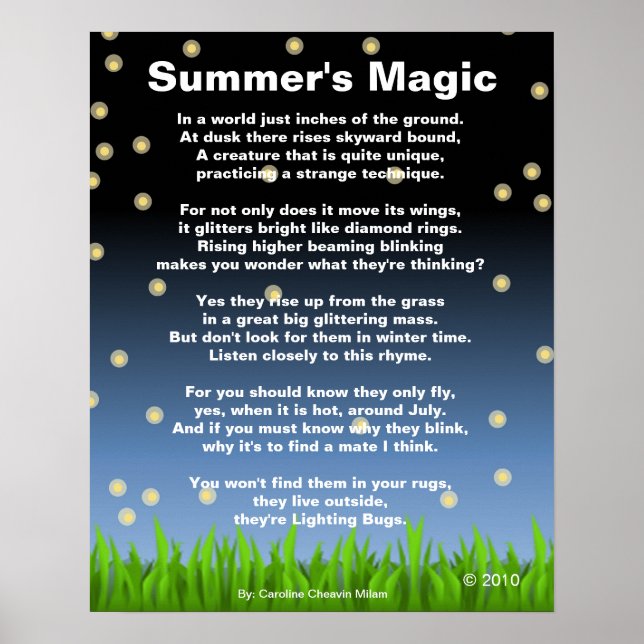 Poster Magia de Summer (Frente)
