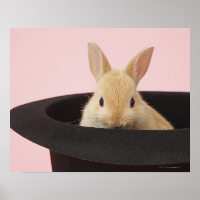 Pôster Magic Bunny (Frente)