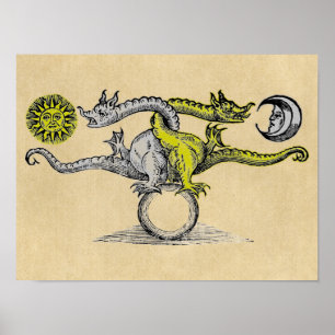 Pôster Magic Gold & Silver Dragons