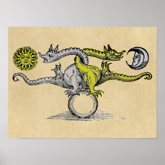 Pôster Magic Gold & Silver Dragons (Frente)