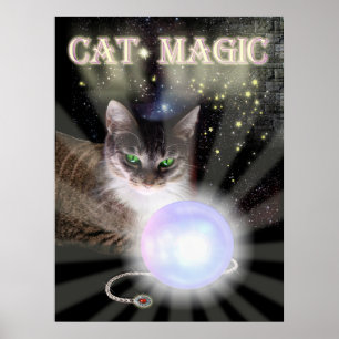 Pôster Mágica do gato