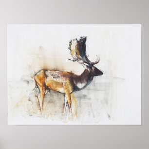 Poster Magnífico Buck de Fallow 2006