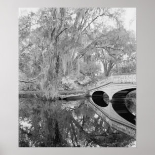 Pôster Magnolia Gardens