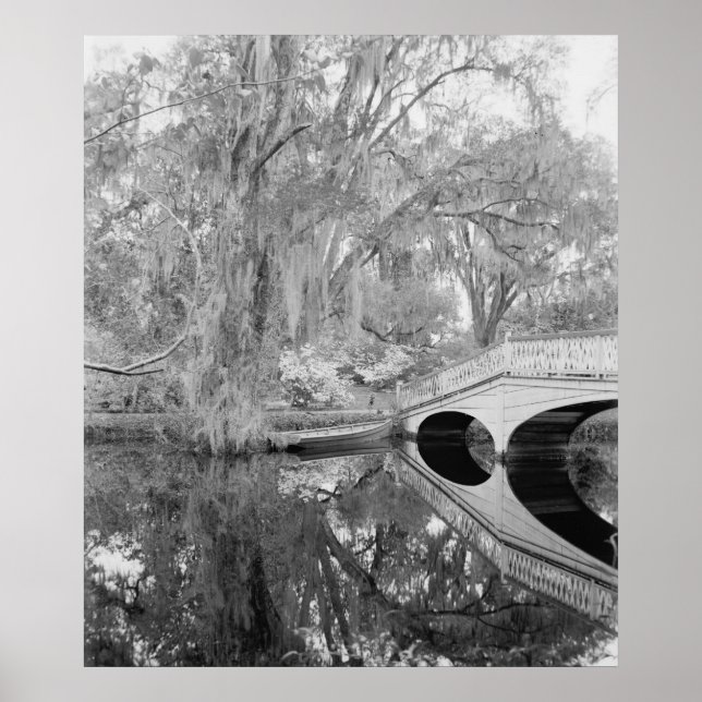 Pôster Magnolia Gardens (Frente)